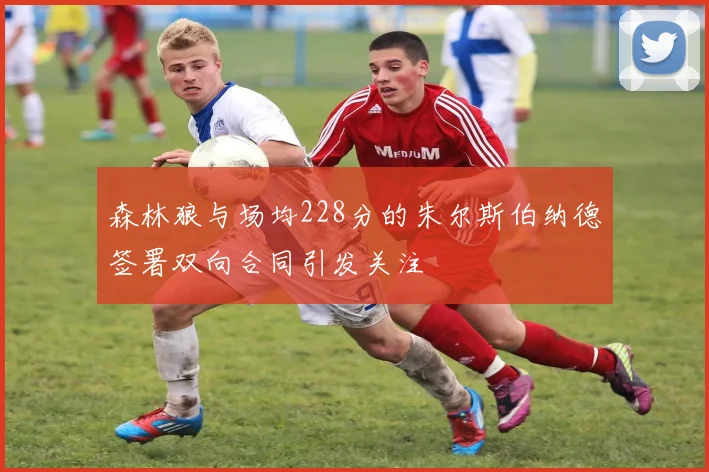 森林狼与场均228分的朱尔斯伯纳德签署双向合同引发关注