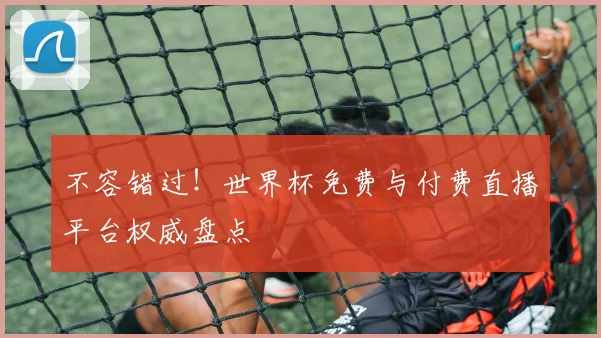 不容错过！世界杯免费与付费直播平台权威盘点